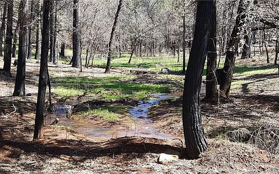 2nd image of 6221 Ponderosa Way