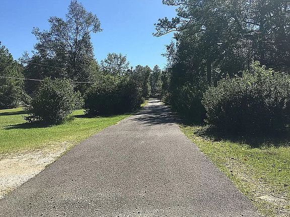 Driveway lined with azaleas