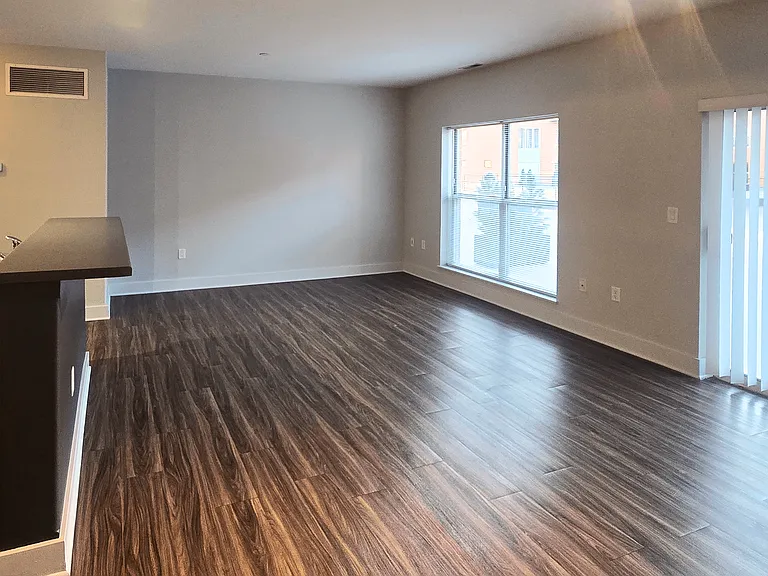 Dining/Living Room Dining/Living Room