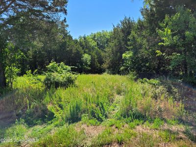 River Cove Ln, Belle, MO, 65013