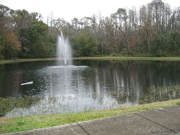 Conservation View