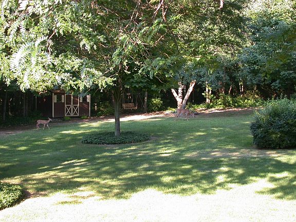 view from back deck