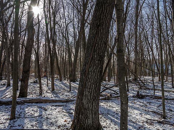 5th image of LOT 10 Oak Hill Est E