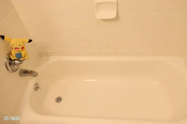 Rented by Citi Habitats | media 10