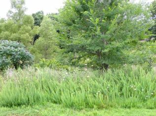 369 Kiier Ct, Branson, MO 65616