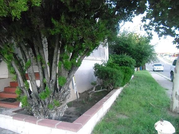 4th image of 308 W Camino Del Sol