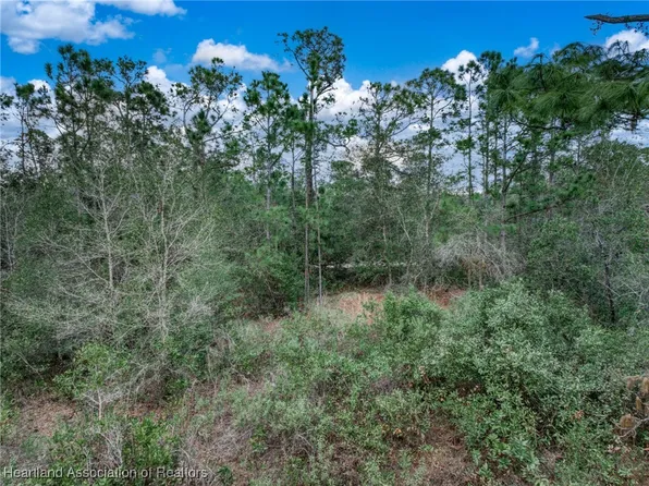 1013 Hyacinth Ave, Sebring, FL 33875