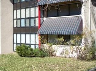 613 Vine St, Aspen, CO 81611