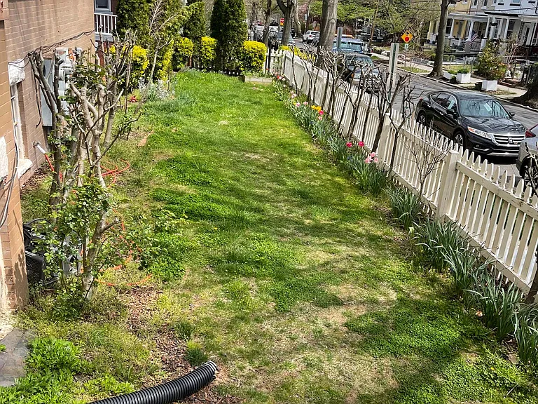 1425 Allison St NW #D — Photo 31