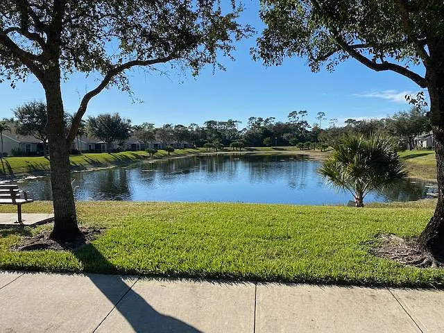 Pond