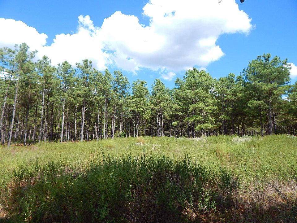 1st image of Spruce Rd