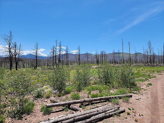 3rd image of 1487 Emery Loop