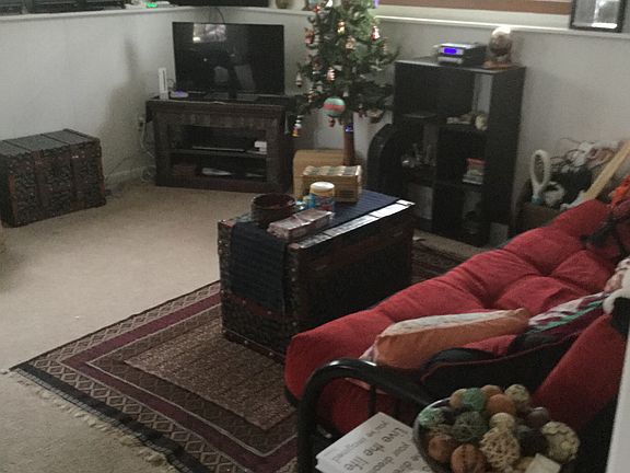 Downstairs family room