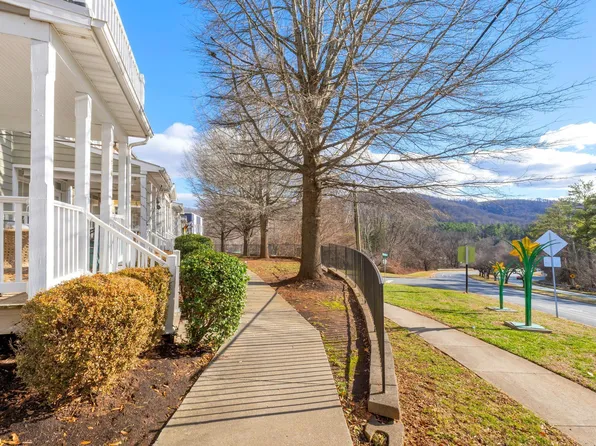 1105 Druid Ave Unit M, Charlottesville, VA 22902