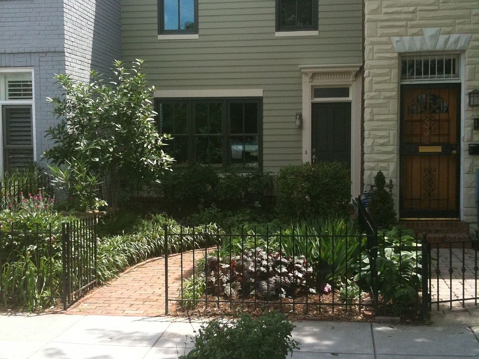 Front yard
