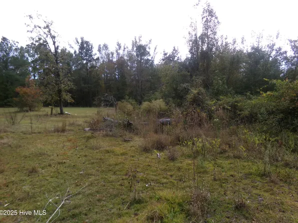 Lot  44964 Big Island Road, White Oak, NC 28399