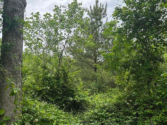 4th image of County Road 123