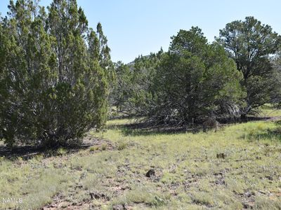 258 E Key Cir #416, Williams, AZ, 86046