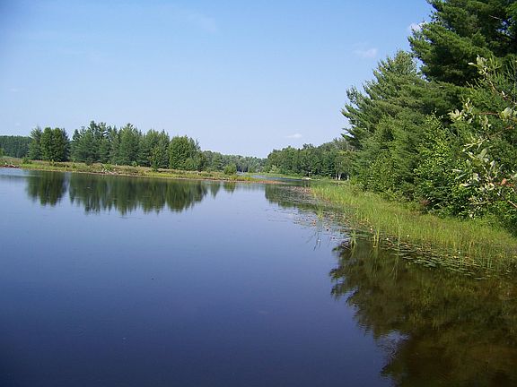 5th image of Havenwood Dr