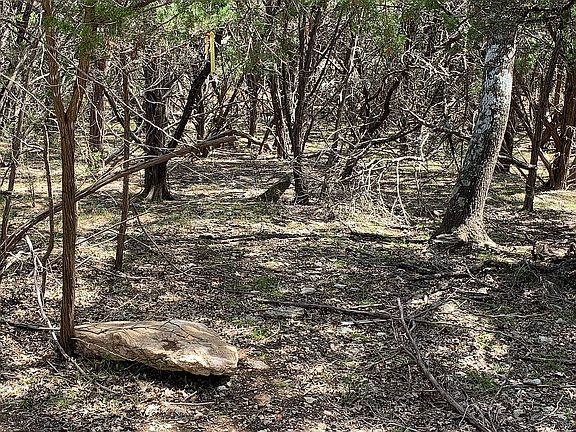5th image of 17 Mesquite Trl