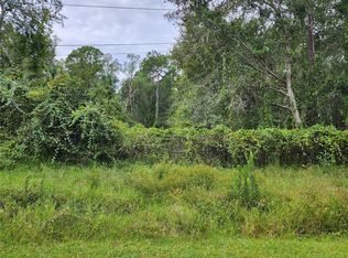 1st St LOT 1, Astor, FL 32102