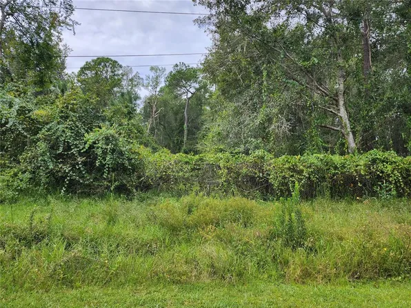 1st St Lot 1, Astor, FL 32102