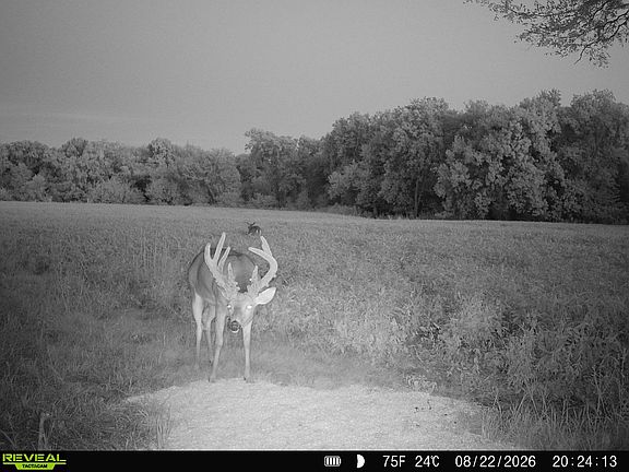2nd image of 0 270th Street & U Rd