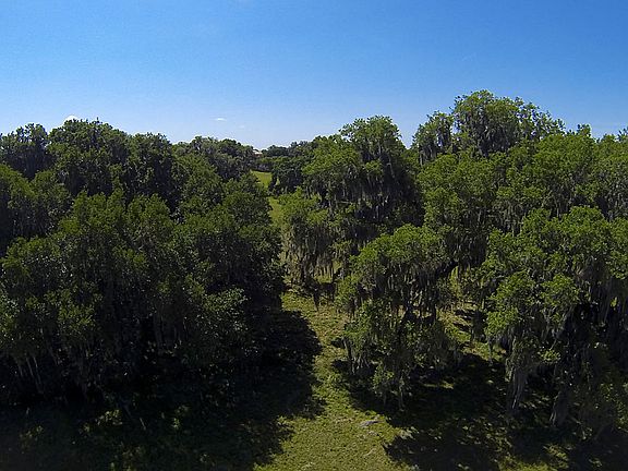 3rd image of 12227 Stonelake Ranch Blvd
