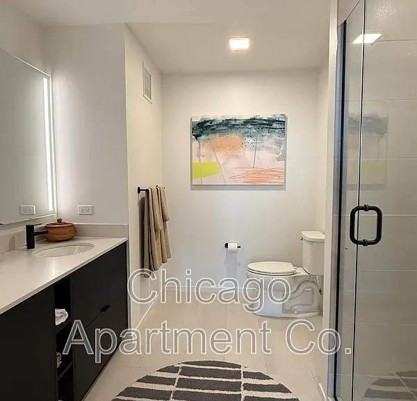 224 N Elizabeth St #411 — Photo 9