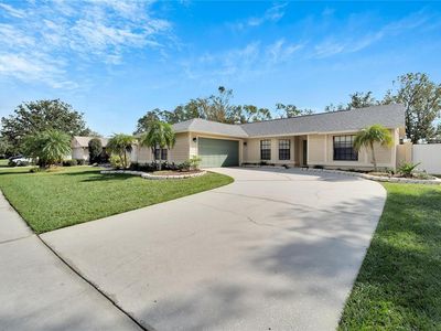 12209 Wildbrook Dr, Riverview, FL, 33569