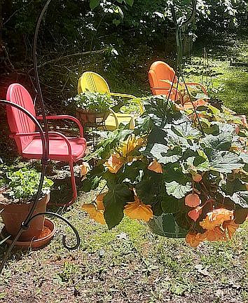 5th image of 8120 Deadstream Rd