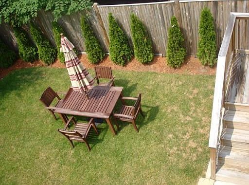 Back yard