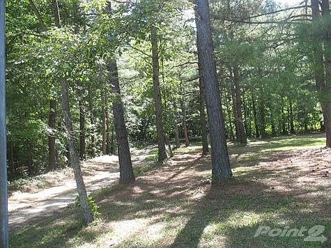 Real Estate Pictures 003