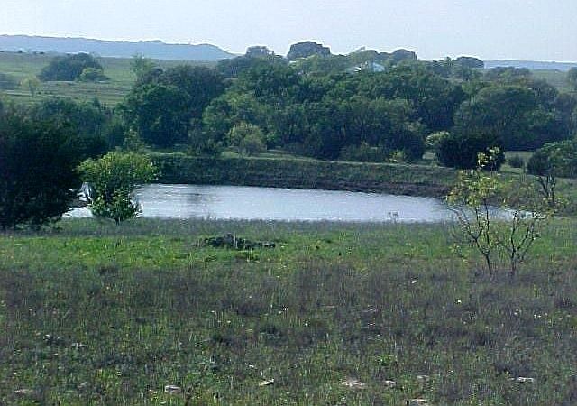 1st image of 1002 County Road 138