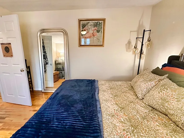 another view of the main bedroom