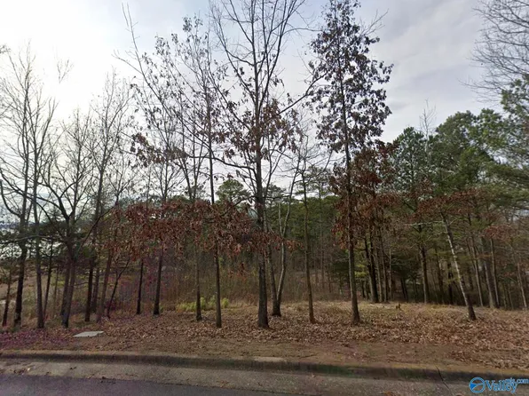 35 Harbor Ridge Rd, Guntersville, AL 35976