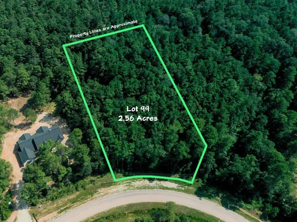 LOT 99 Red Hawk Rd Lot 98, Huntsville, TX 77340