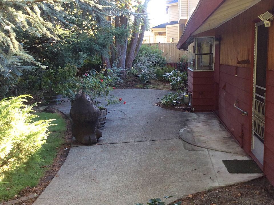 Back patio