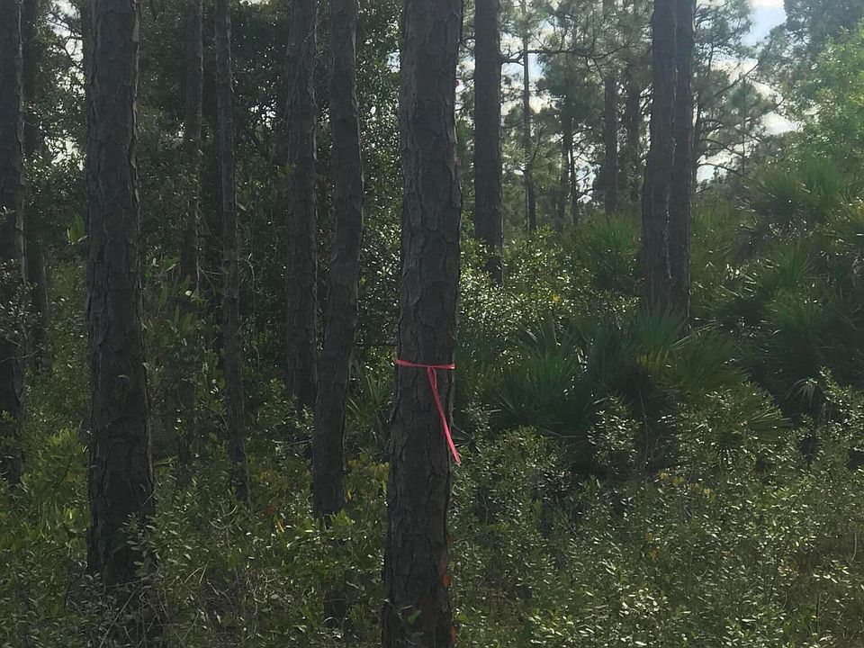 12460 79th St, Fellsmere, FL 32948 MLS RX10931440 Zillow