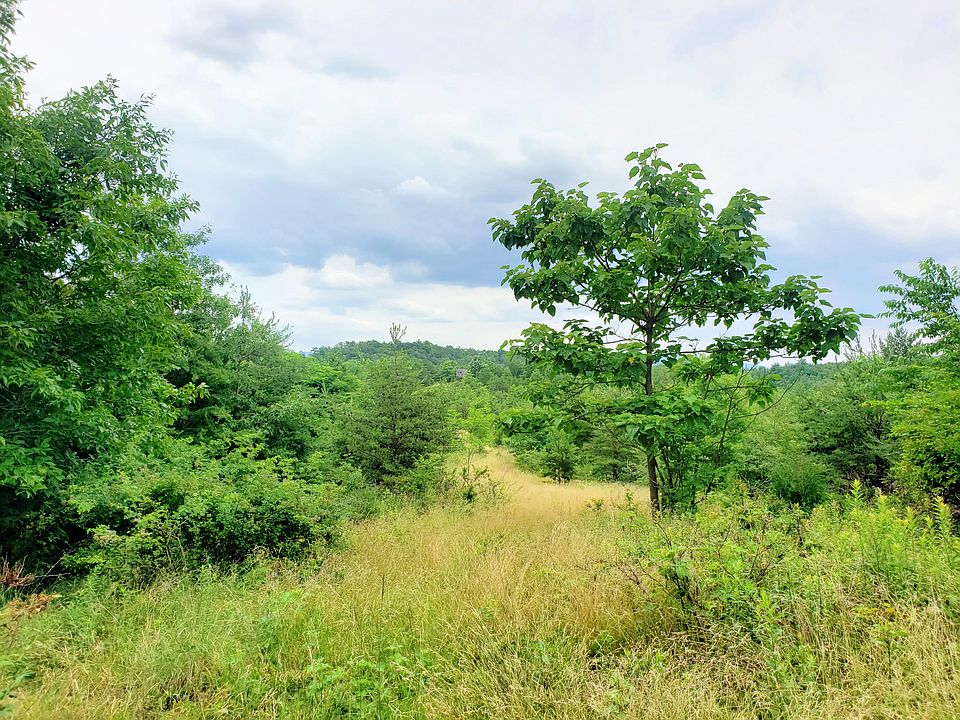 1st image of 0 Doe Cir