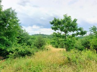 0 Doe Cir, Clifton Forge, VA 24422