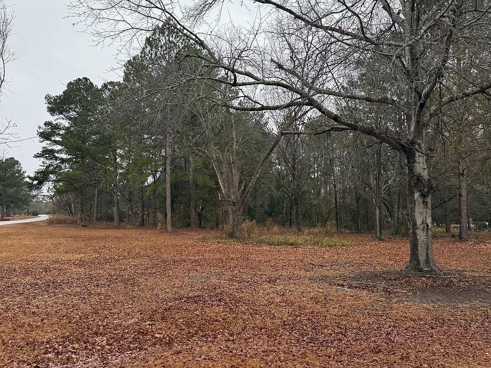 2nd image of LOT 10 Laurel Oak Dr