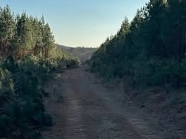 14 Green Creek Rd Lot 14, Schuyler, VA 22969