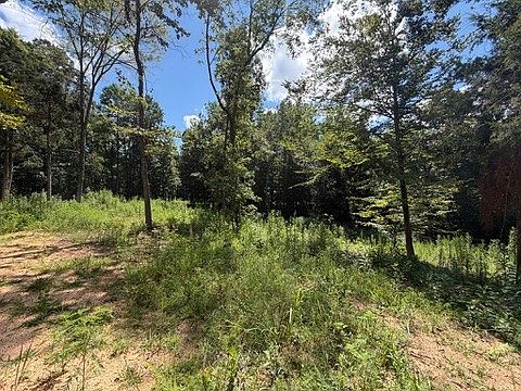 3rd image of 0 Center Point Rd S Lot 0