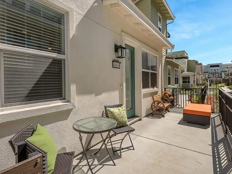 40689 Squill Cmn — Photo 3