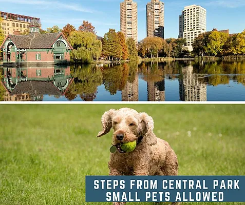 Rented by Area New York | media 36