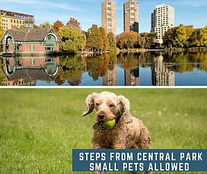 Rented by Area New York