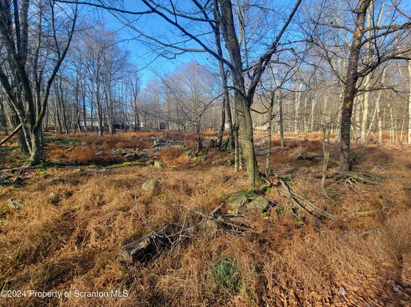 Kiowa Path Lot 9, Gouldsboro, PA 18424