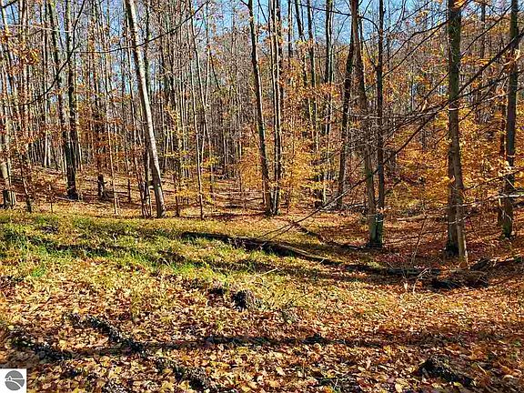 4th image of 0 State Park Hwy