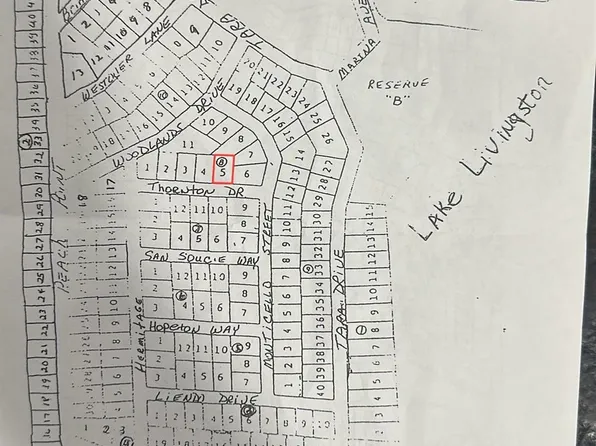 LOT 5 Thornton St, Trinity, TX 75862